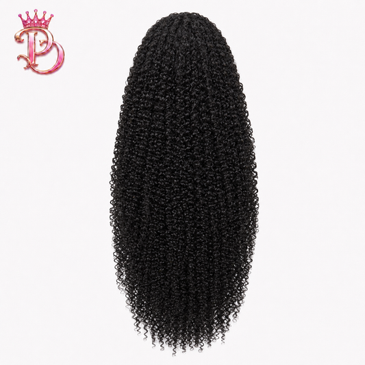 Kinky Curly HD Lace Wig